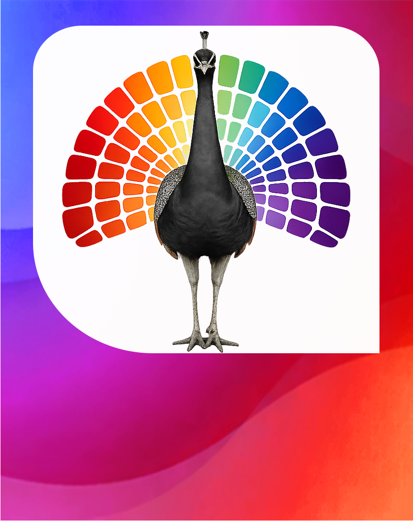 Graphic Design